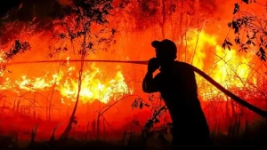 খরা ও এল নিনোর প্রভাবে ইন্দোনেশিয়ায় ভয়াবহ দাবানল