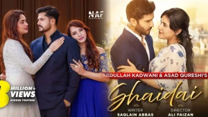 পাকিস্তানি নাটক নকলের অভিযোগে বিতর্কে ‘প্রথম প্রেমের গল্প’