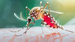ডেঙ্গুতে প্রাণ হারালেন আরও ৪ জন