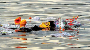 রাজধানীতে ৩৩ পয়েন্টে প্রতিমা বিসর্জন, নিরাপত্তায় ১৬ হাজার পুলিশ
