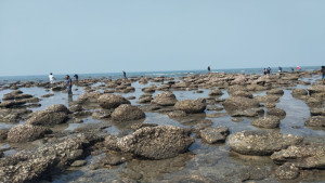 সেন্টমার্টিন সৈকতে অজ্ঞাত মরদেহ