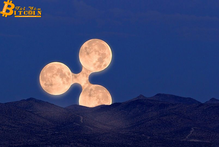 Giá XRP có thể tăng lên $ 0,6 trong năm nay