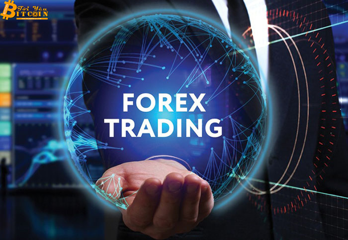 Bùng nổ chiếu bạc online: Khi forex, tiền ảo bắt tay cùng đa cấp