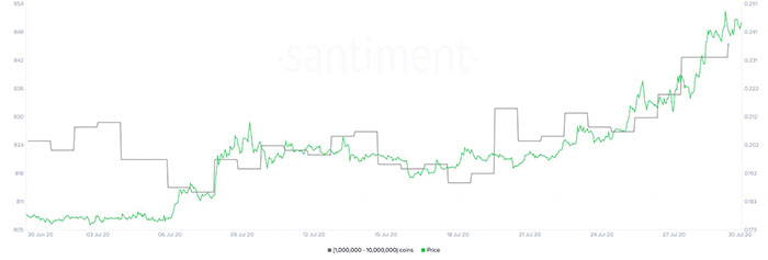 Phân phối Holder XRP so với giá. Nguồn: Santiment