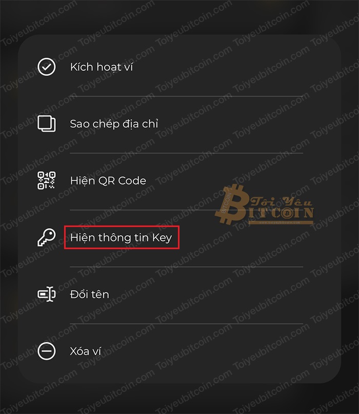 Cách quản lý ví và lấy Passphrase, Private Key. Ảnh 2
