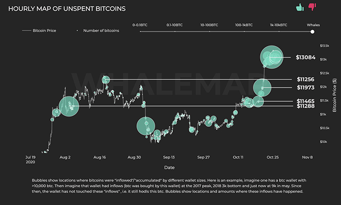 Các cụm cá voi Bitcoin. Nguồn: Whalemap