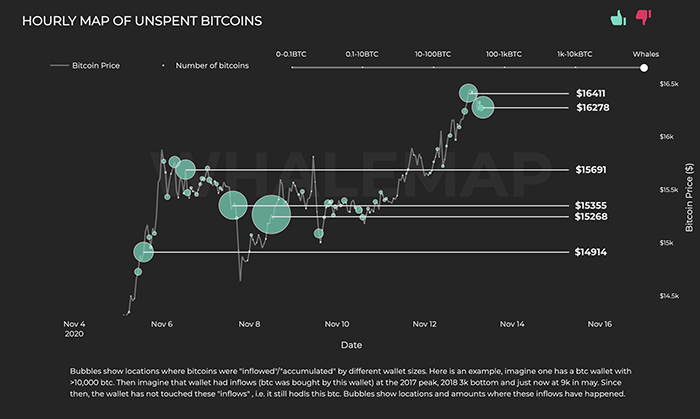 Các cụm cá voi Bitcoin trong suốt tháng 11. Nguồn: Whalemap