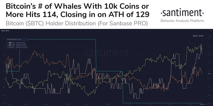 Số địa chỉ chứa hơn 10.000 BTC đạt 114 ví, tiến gần đến ATH là 129. Nguồn: Santiment.