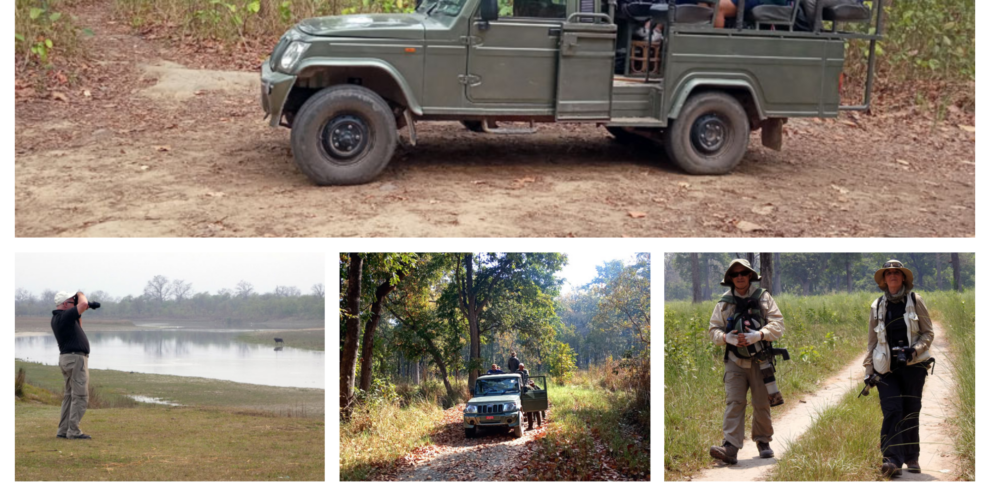 Bardia National Park Jungle Safari