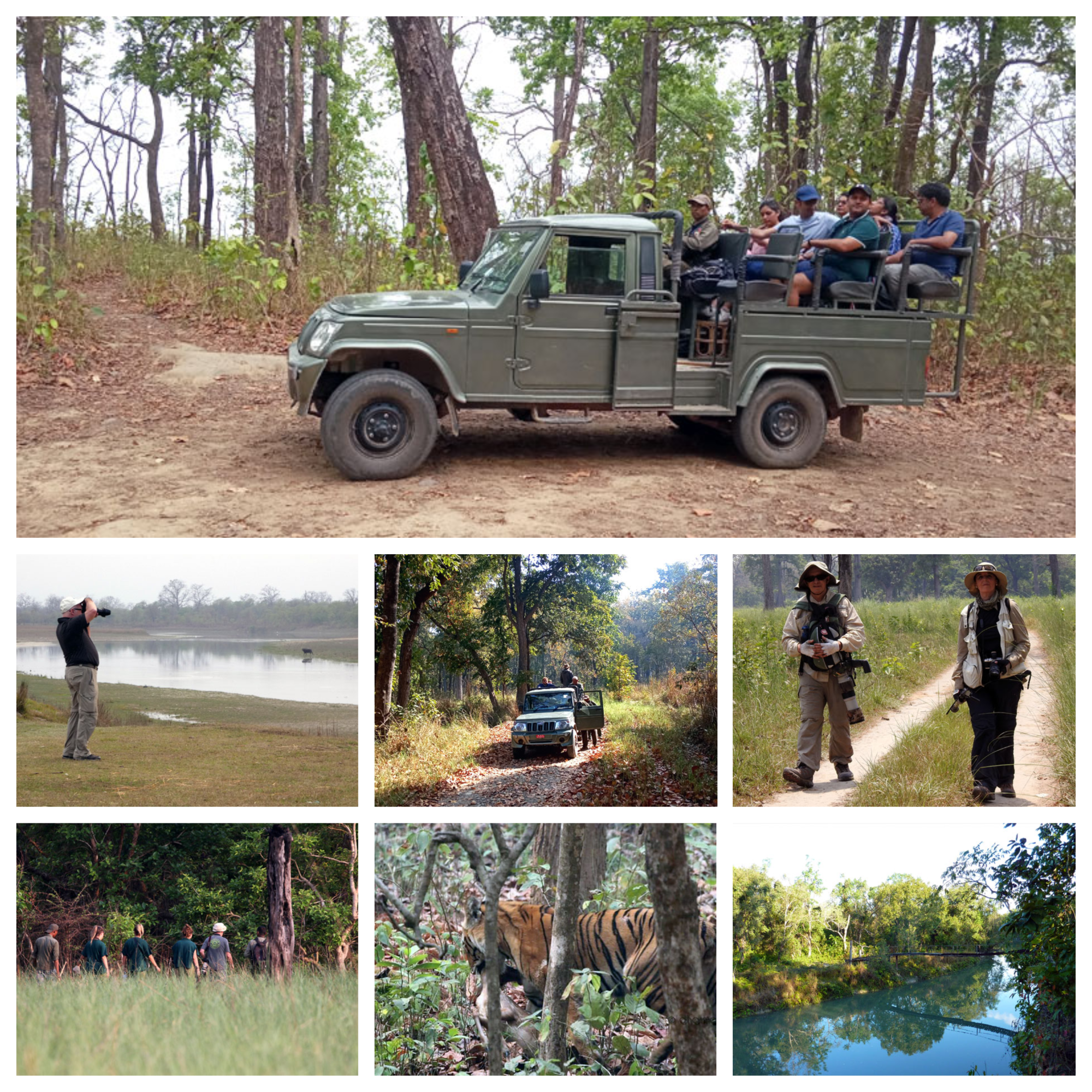 Bardia National Park Jungle Safari