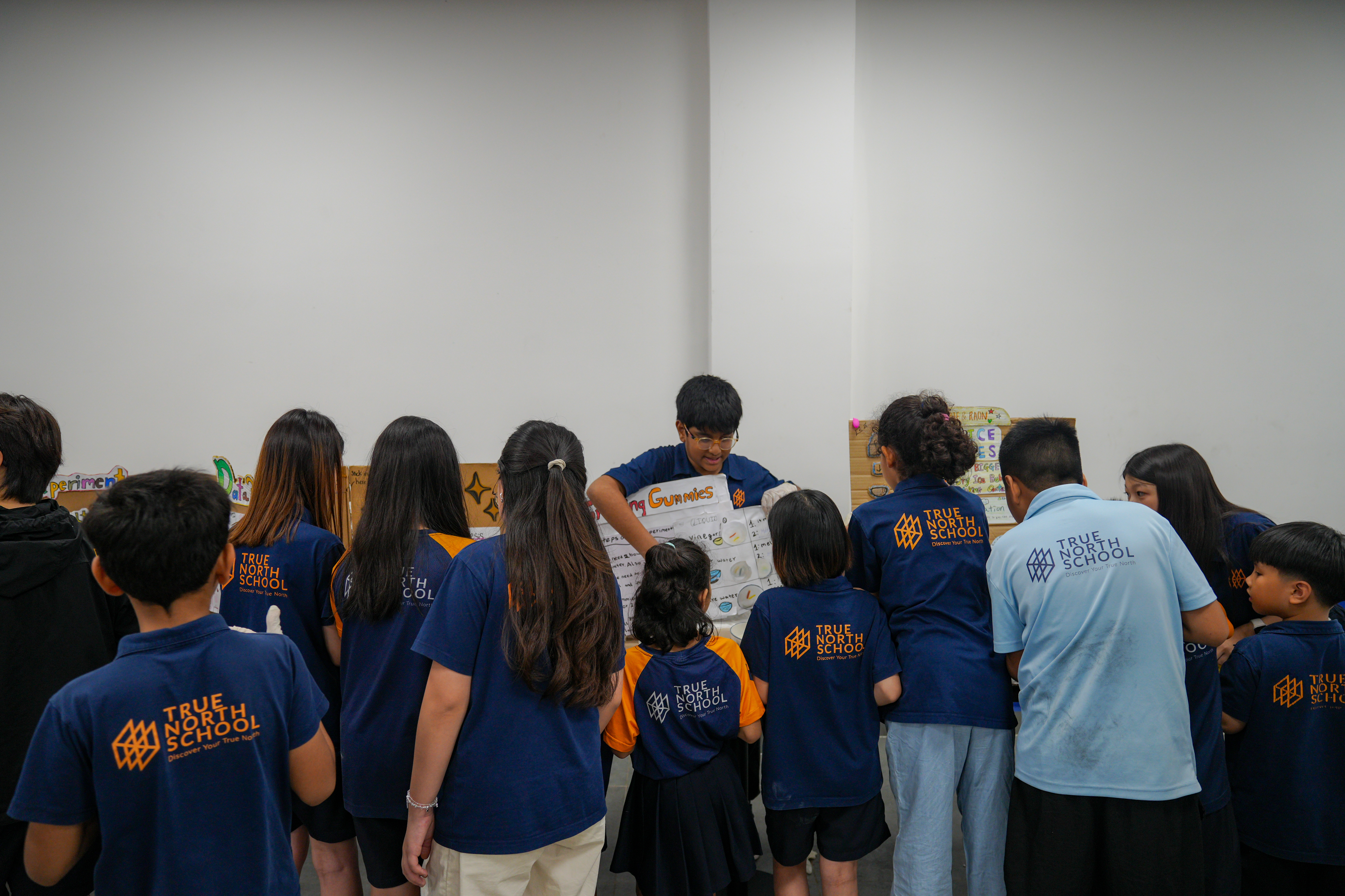 học sinh trung học làm Extended Essay trong chương trình IB Diploma tại Hà Nội