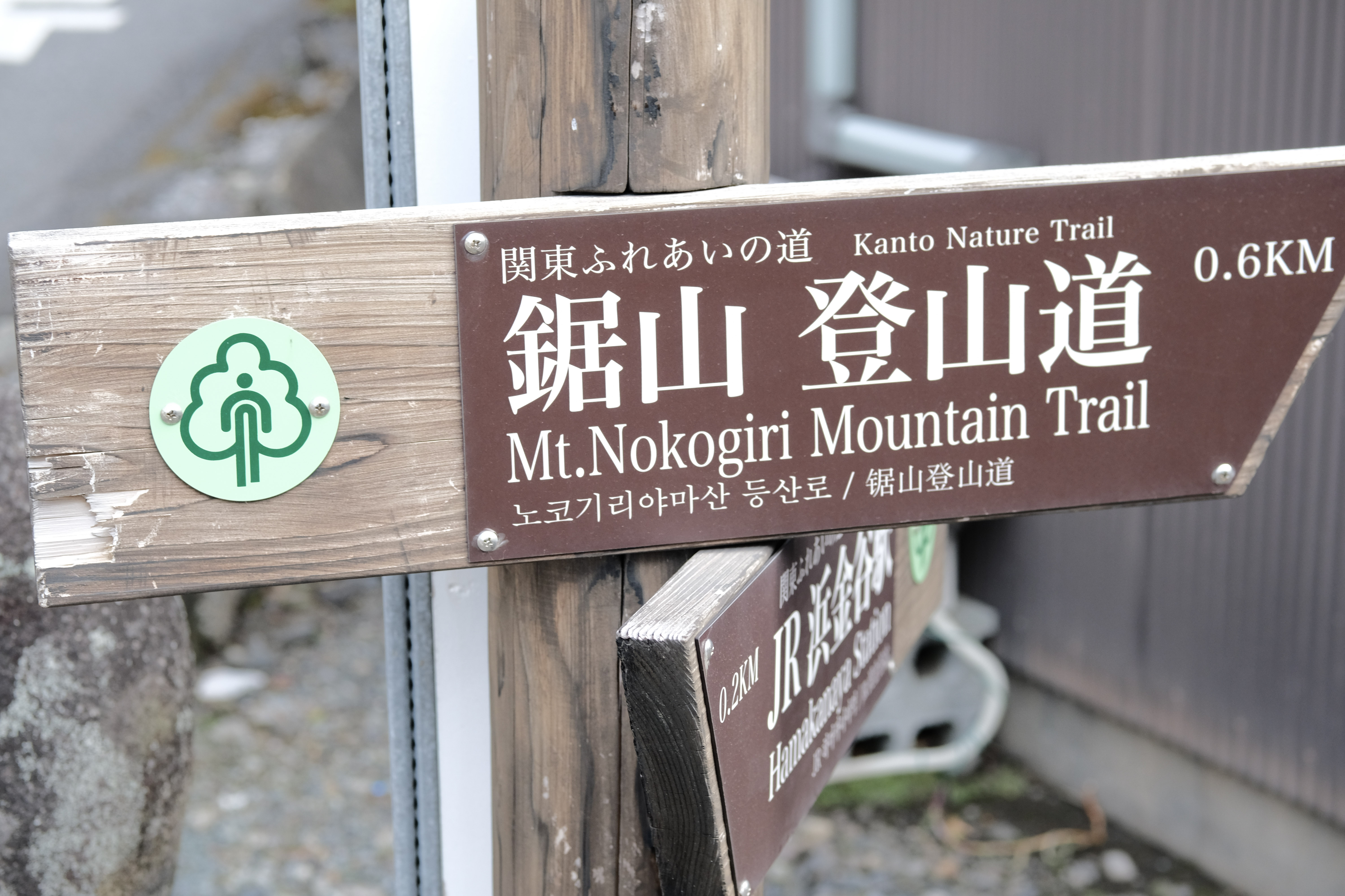 Nokogiriyama Hike