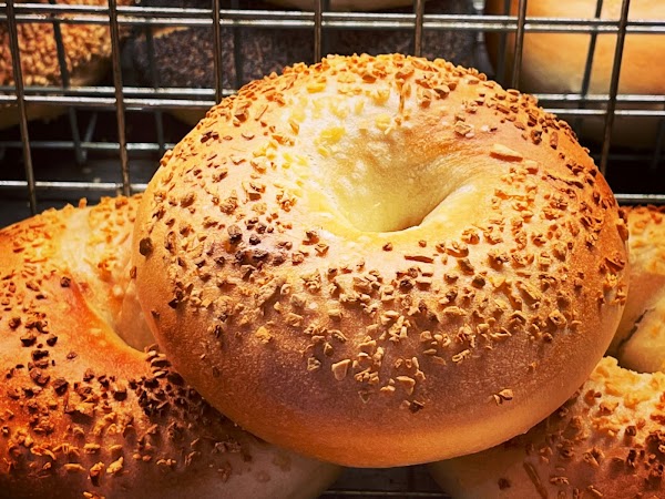 Bagel Standard 