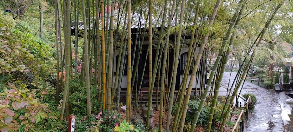 Kamakura Daibutsu