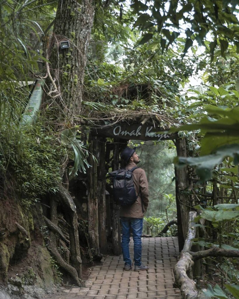 7 Tempat Wisata Alam di Batu, Malang yang Ngehits Banget!