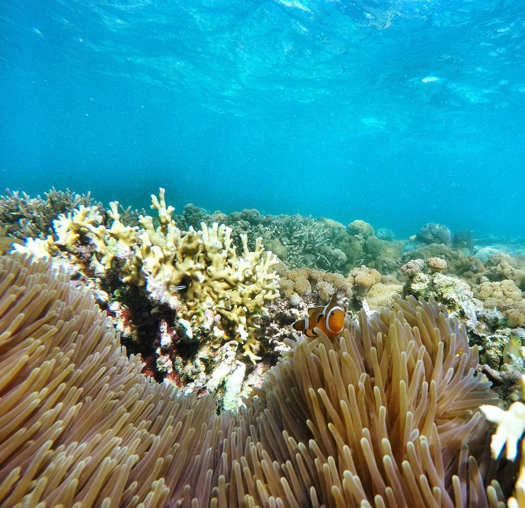 10 Taman Nasional Di Indonesia Yang Tidak Kalah Indah Dari