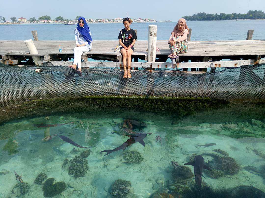 10 Taman Nasional Di Indonesia Yang Tidak Kalah Indah Dari