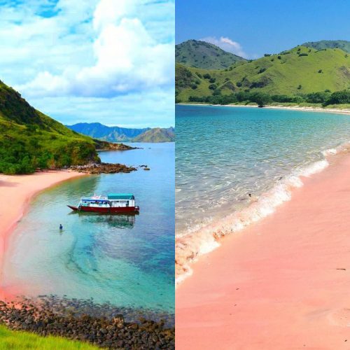  pantai pink labuan bajo  TripZilla Indonesia