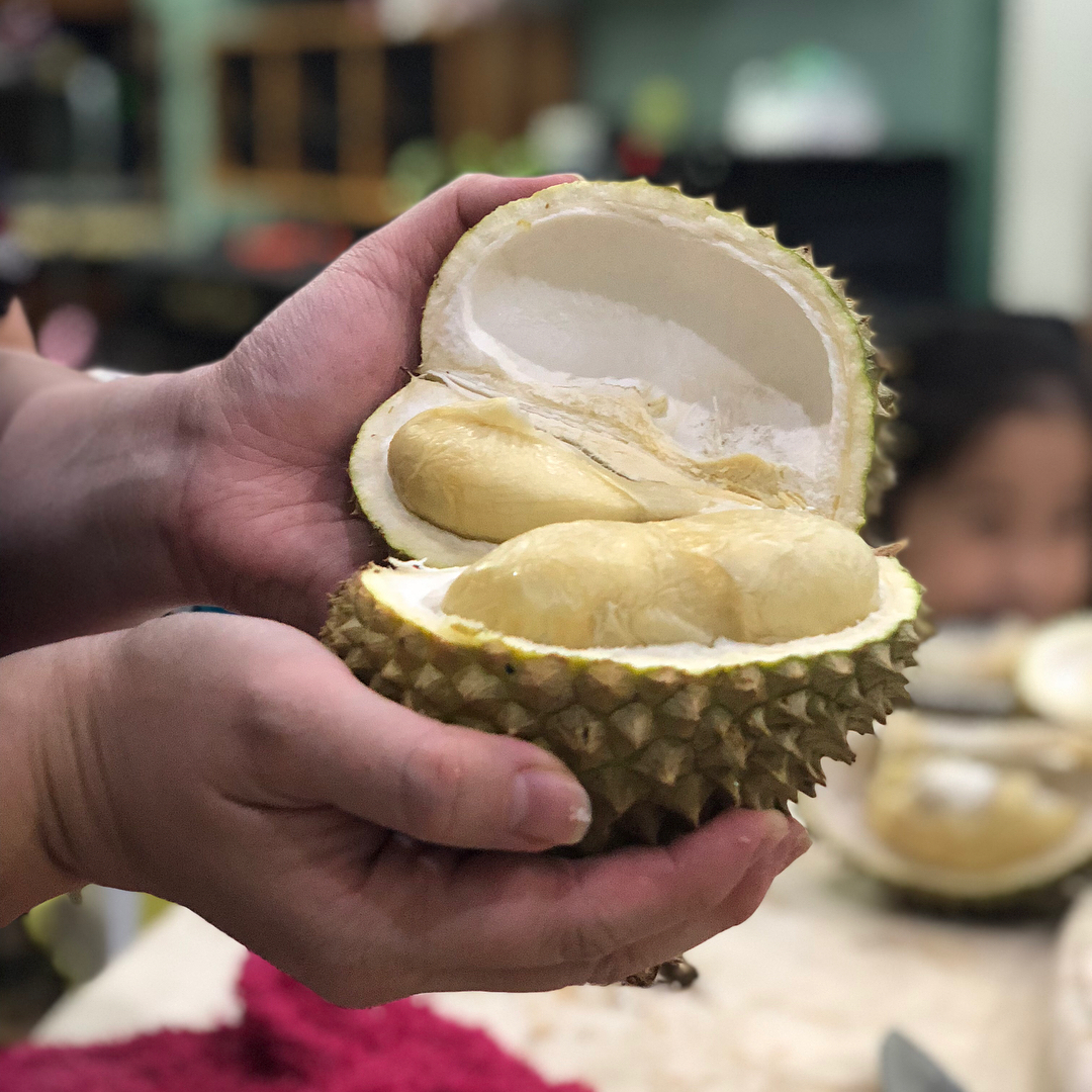 Download 7200 Koleksi Gambar Durian Pontianak Terbaru Gratis HD