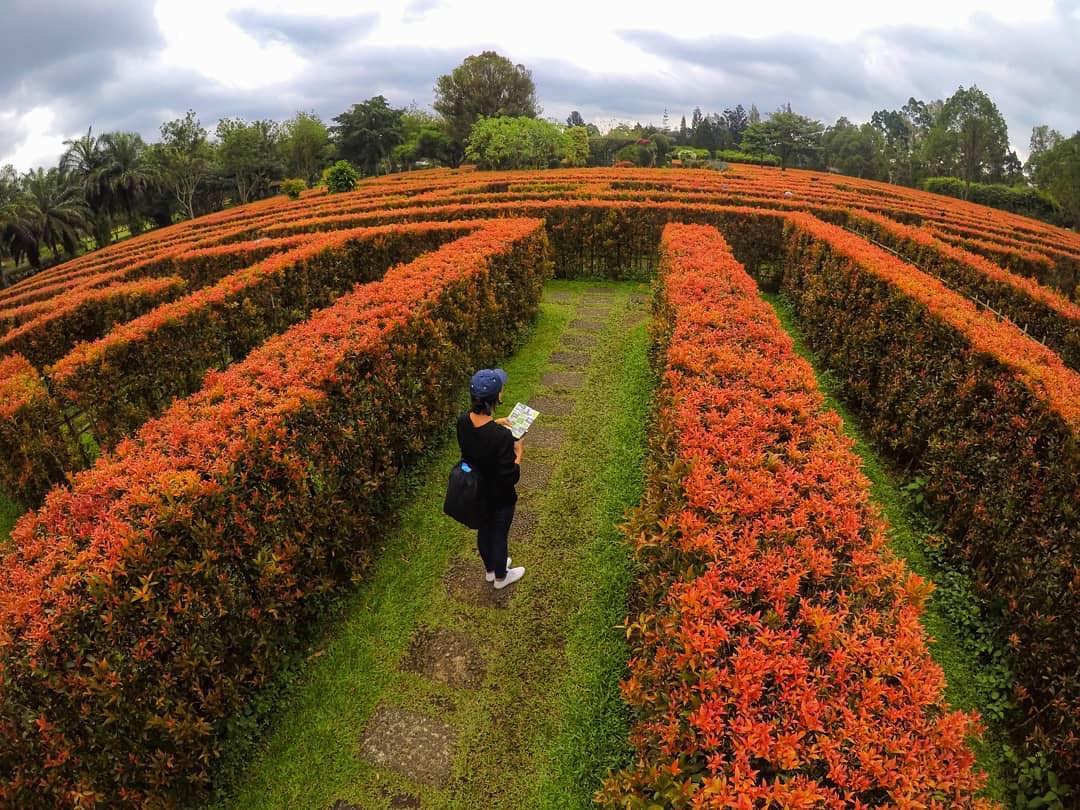 15 Wisata Taman Bunga  Di Indonesia  Yang Membuatmu Serasa 