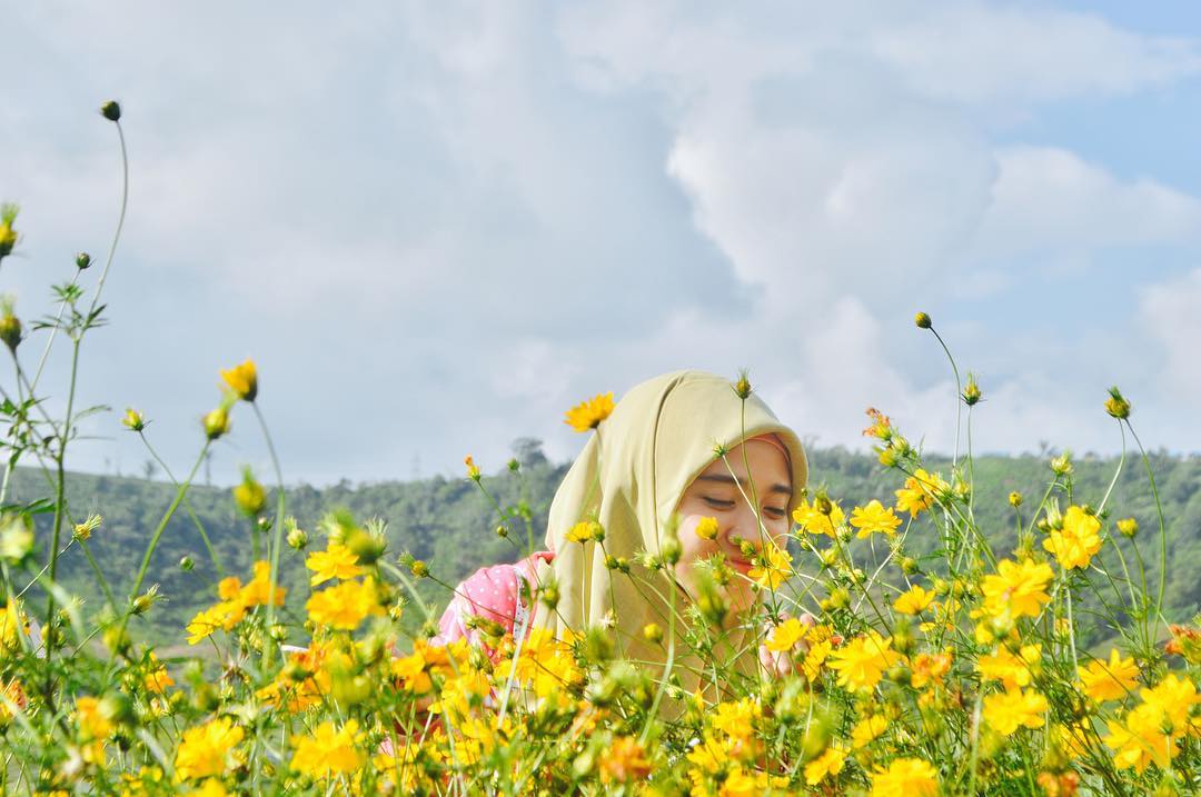 15 Wisata Taman Bunga Di Indonesia Yang Membuatmu Serasa 