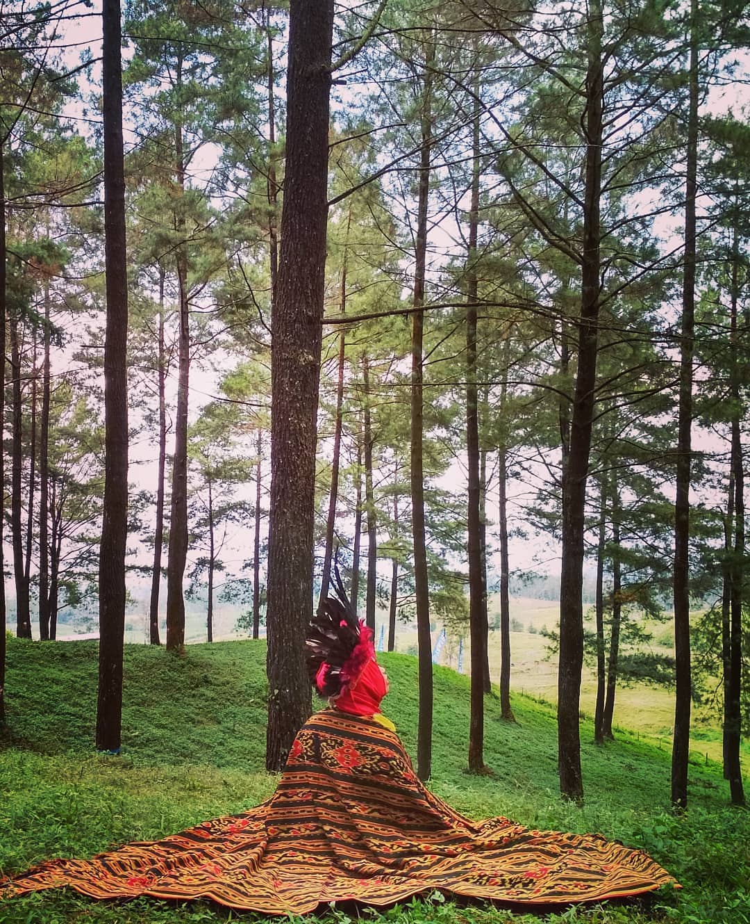 23 Destinasi Wisata Hutan Pinus Untuk Liburan Anti-Mainstream Dan Instagrammable