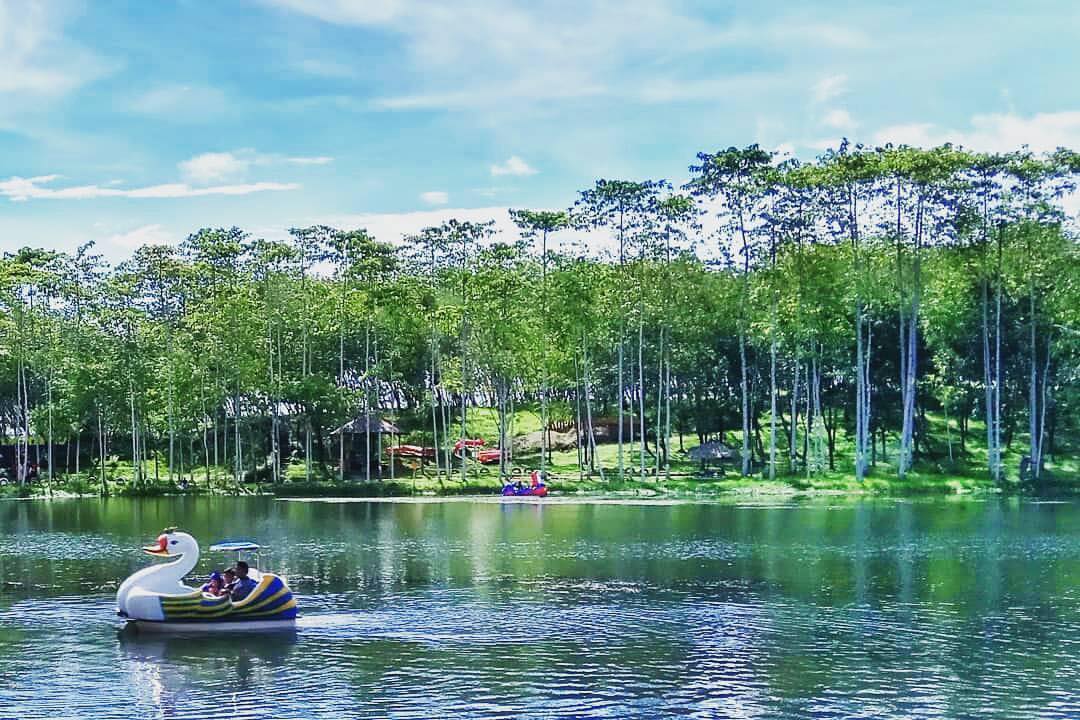 tempat wisata cilacap (13) TripZilla Indonesia