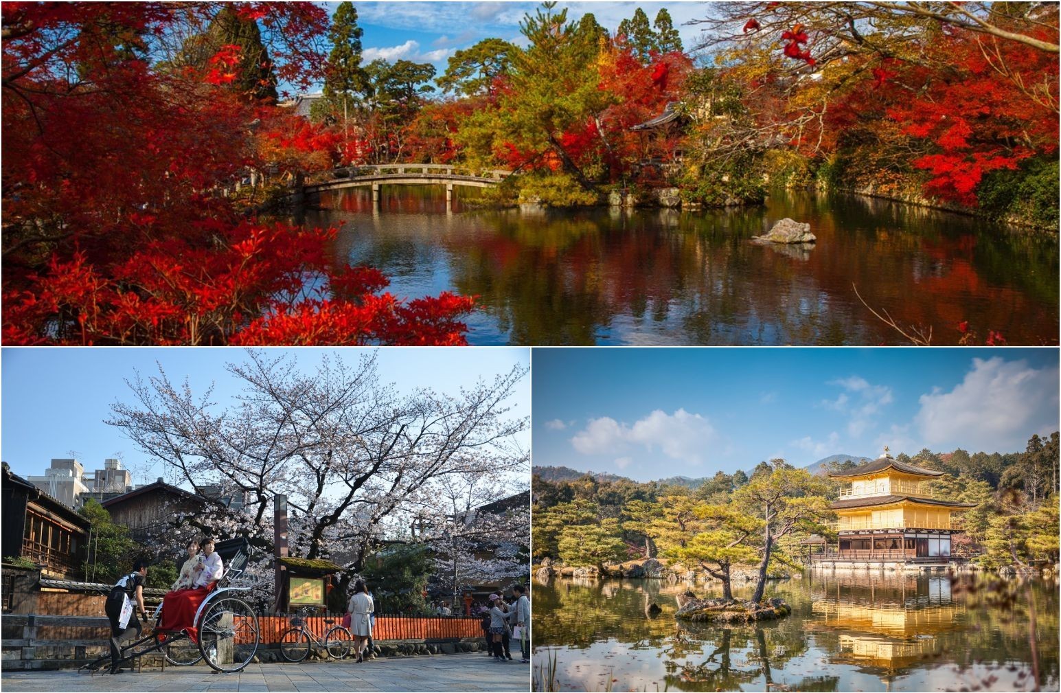 10 Tempat Wisata Jepang Unik Untuk Liburan Tak Terlupakan