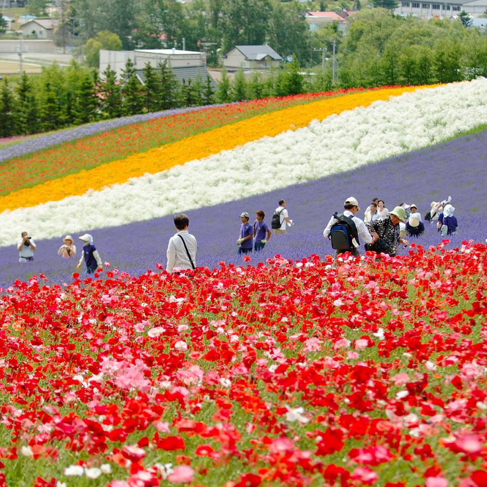 10 Aktivitas Wisata Di Hokkaido Yang Tidak Boleh Dilewatkan Untuk Liburan Berkesan