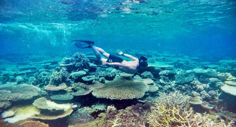 Wisata Di Kepulauan Togean 6 Aktivitas Untuk Pengalaman