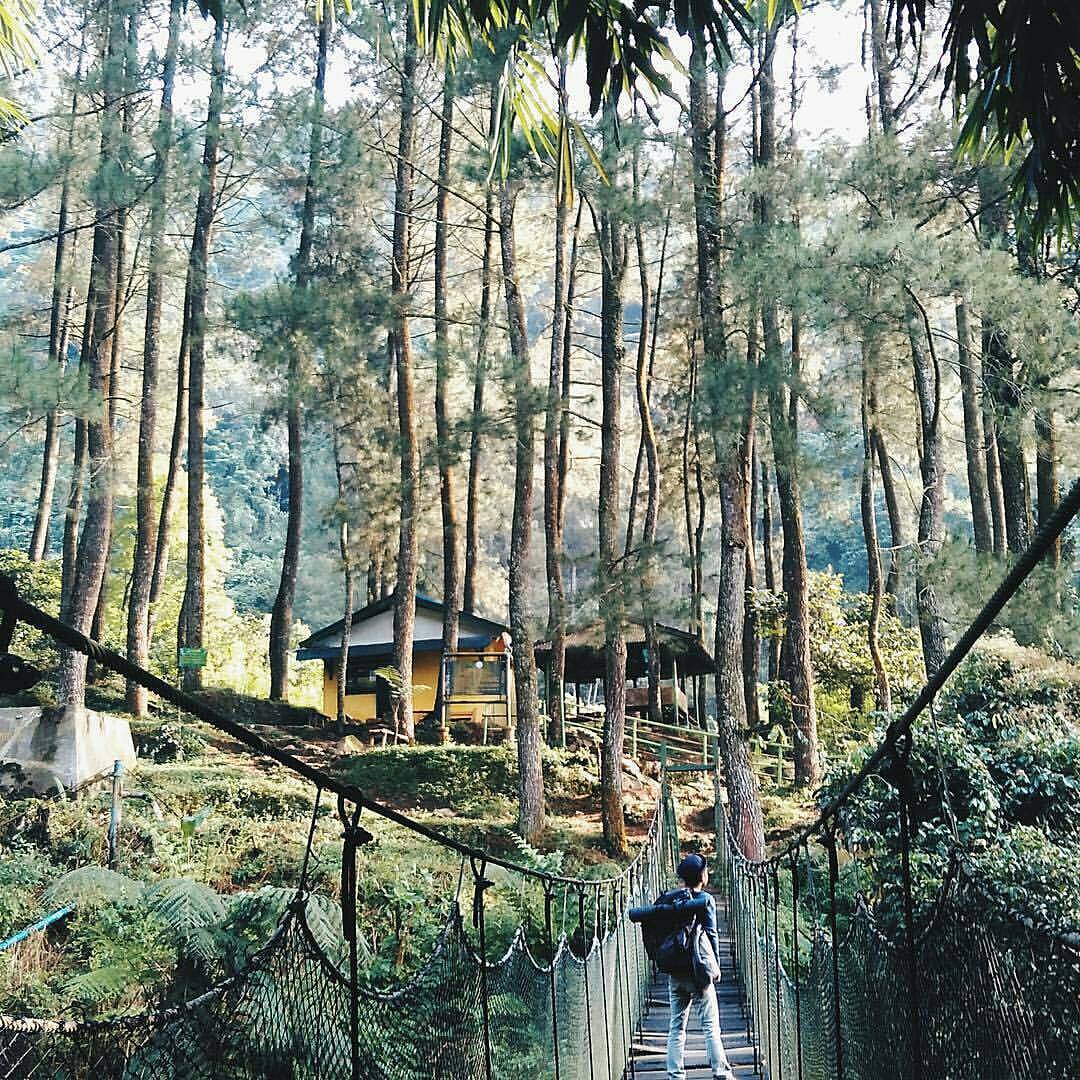 15 Destinasi Wisata Bogor Yang Mengesankan Dan Instagrammable