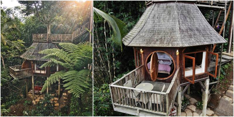 Sebatu Sanctuary | rumah pohon di Bali