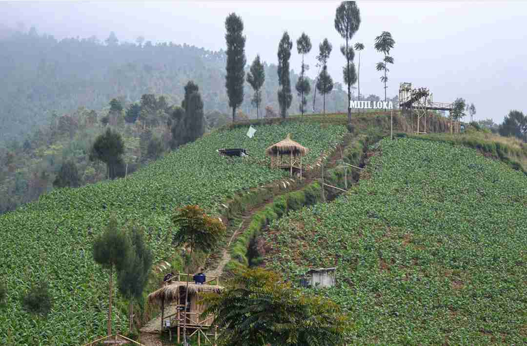 Curug Hingga Gunung, Tempat Wisata Temanggung Yang Seru Dijelajahi