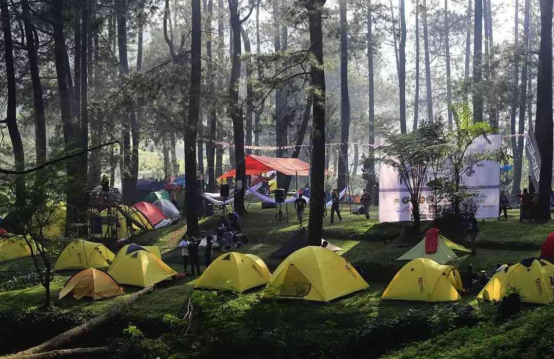 tempat camping di puncak
