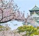 prediksi mekar bunga sakura jepang 2023