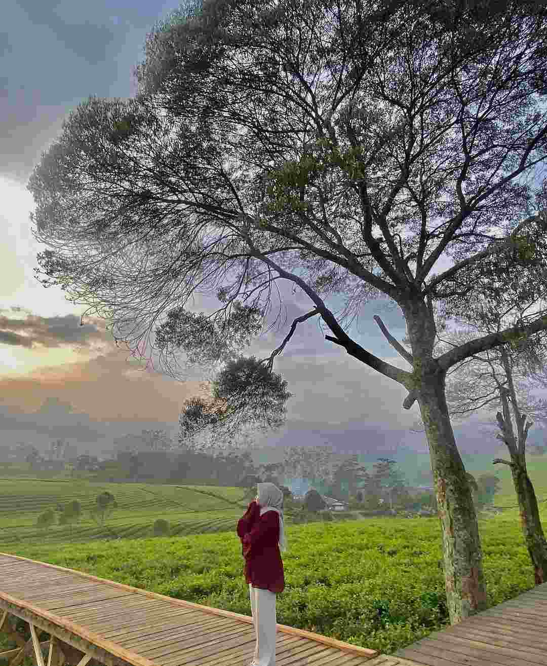 12 1 Riung Gunung Pangalengan By Dian siti