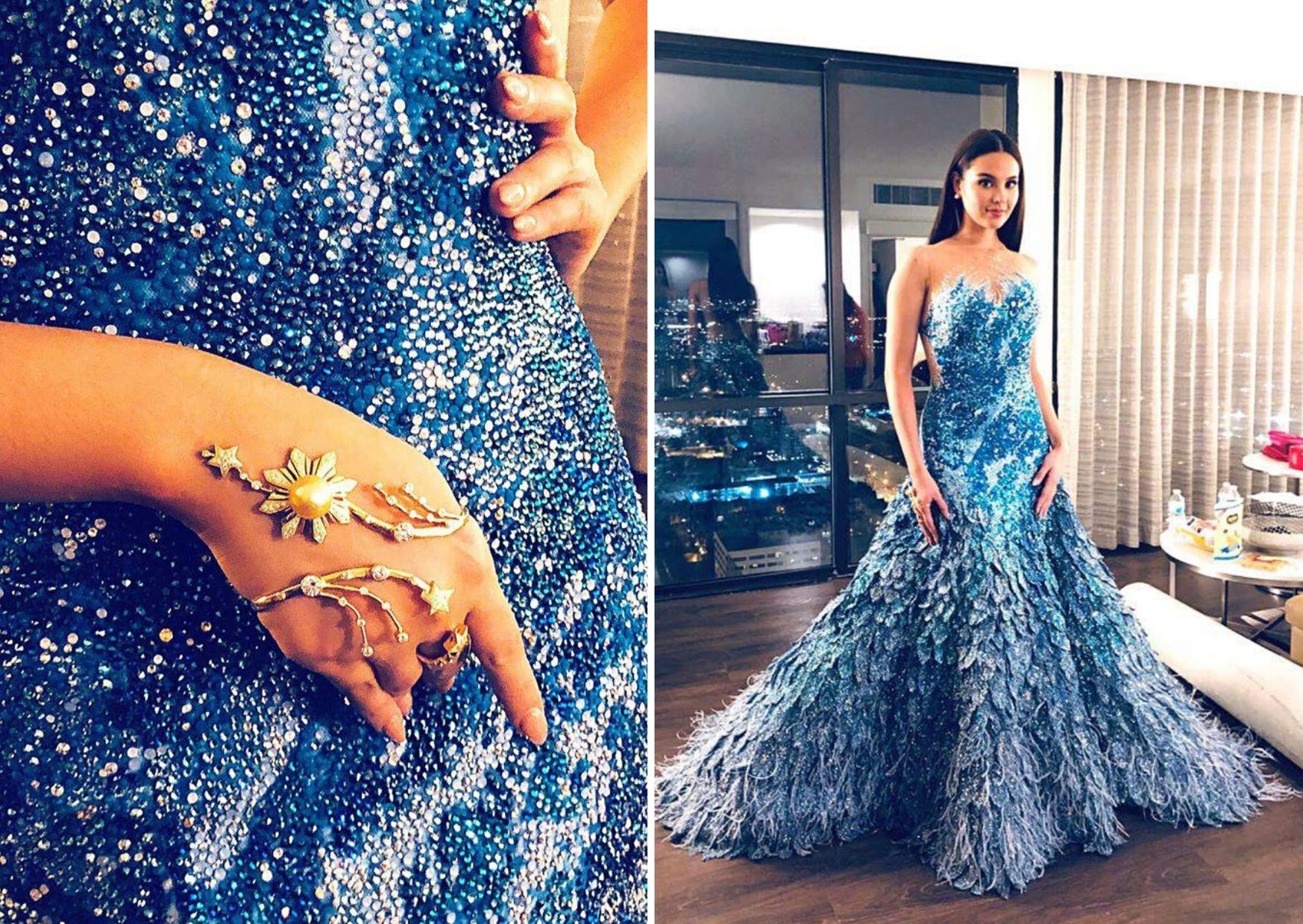 The absolutely gorgeous #MissUniversePhilippines2018 Catriona Gray wearing  her incredible evening gow… | Miss universe dresses, Miss universe gowns,  Pageant dresses