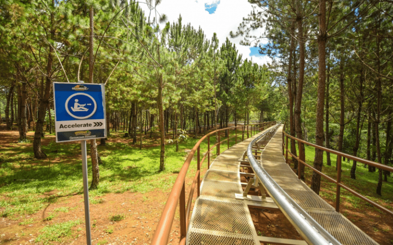 Razorback Mountain Coaster Opens at Dahilayan Adventure Park