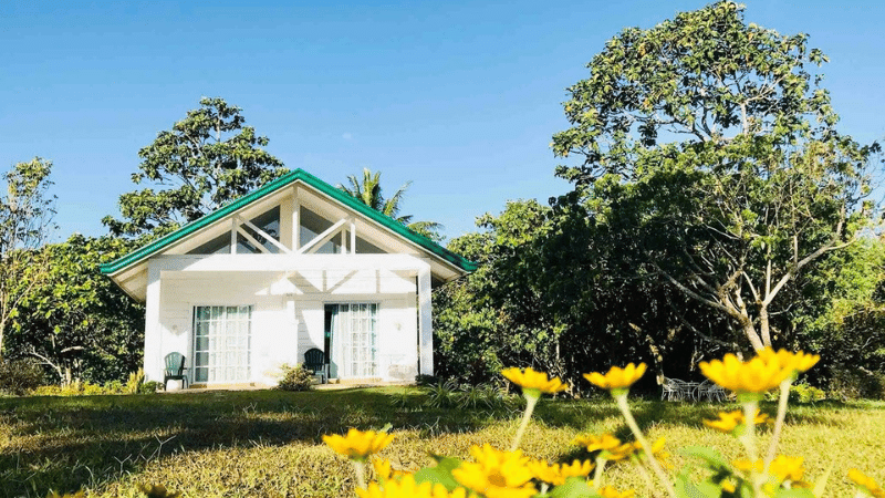 airbnb cavite amadeo