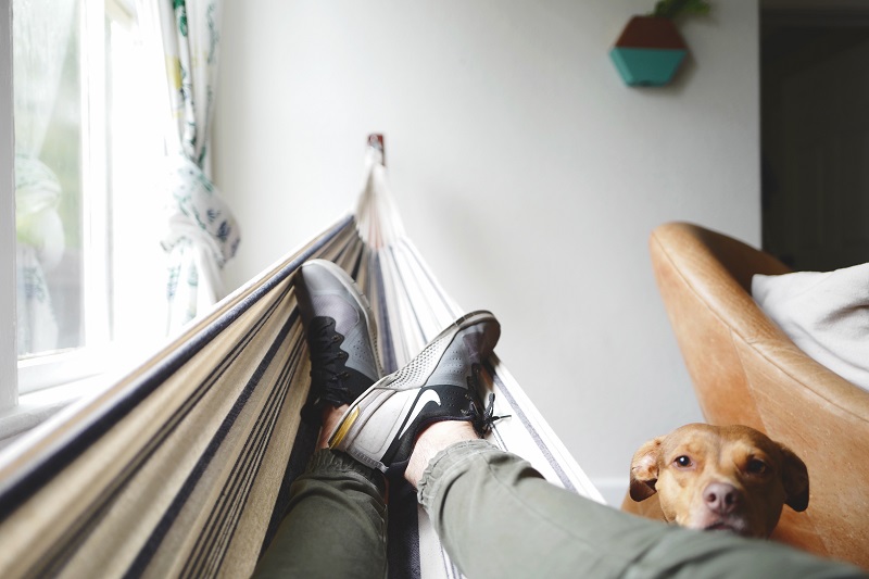 hammock indoors