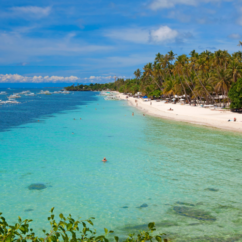 Bohol Travel Requirements Tripzilla Philippines