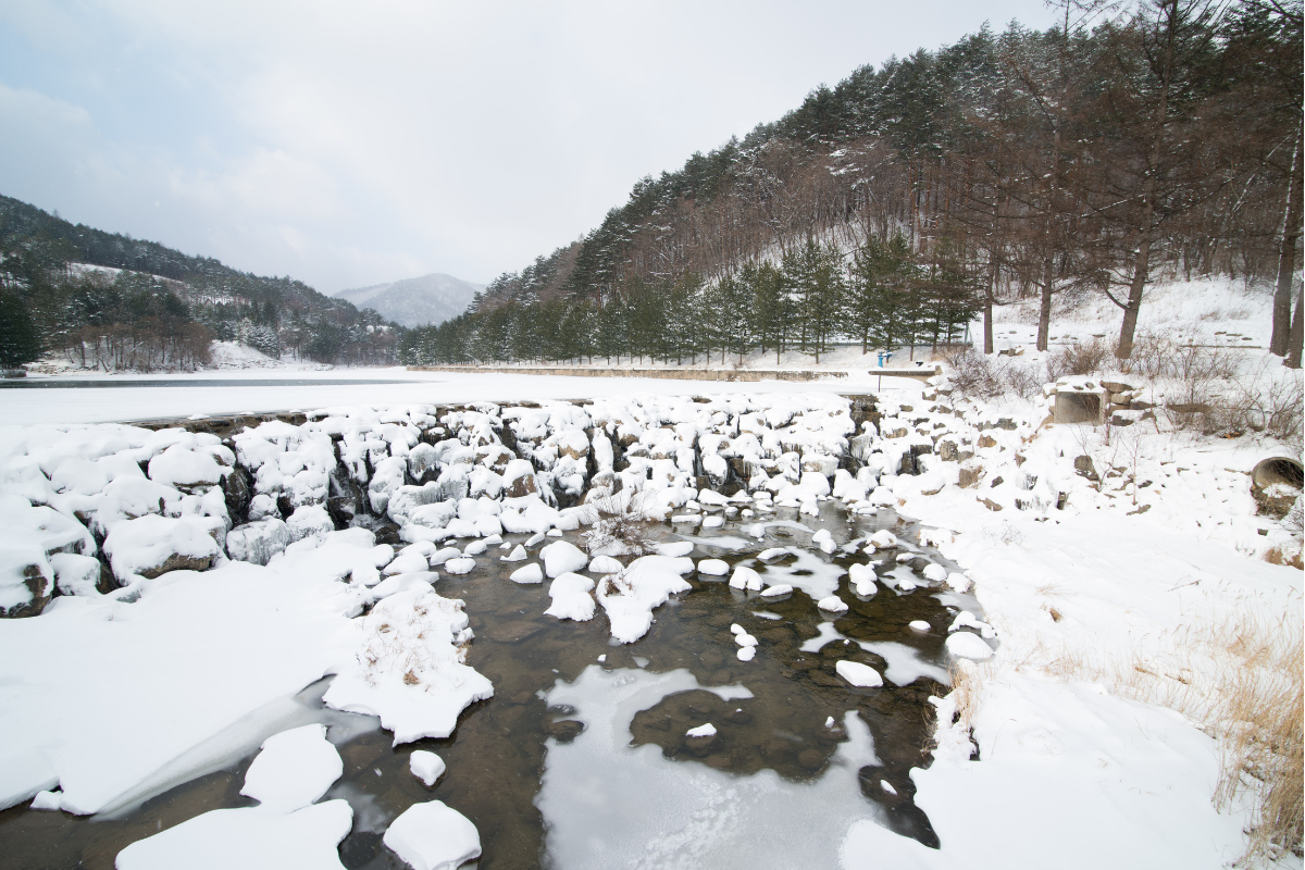 gangwon province snow