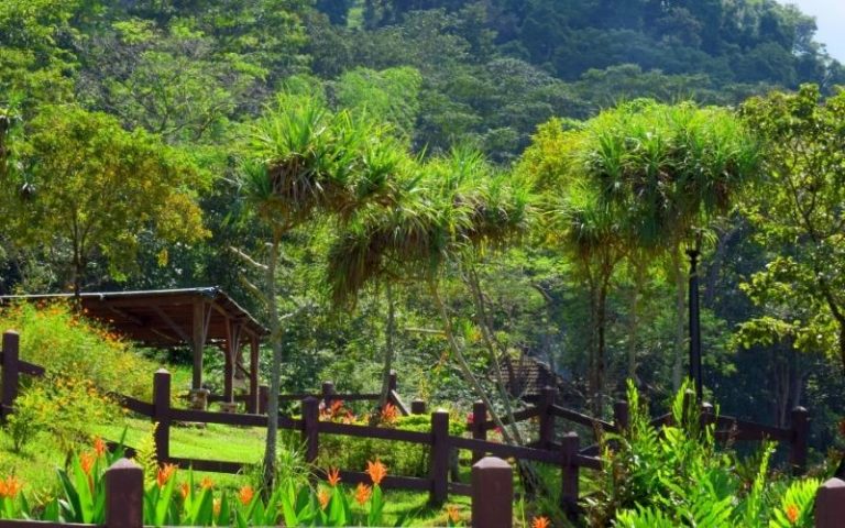 Mambukal Mountain Resort bacolod tourist spots
