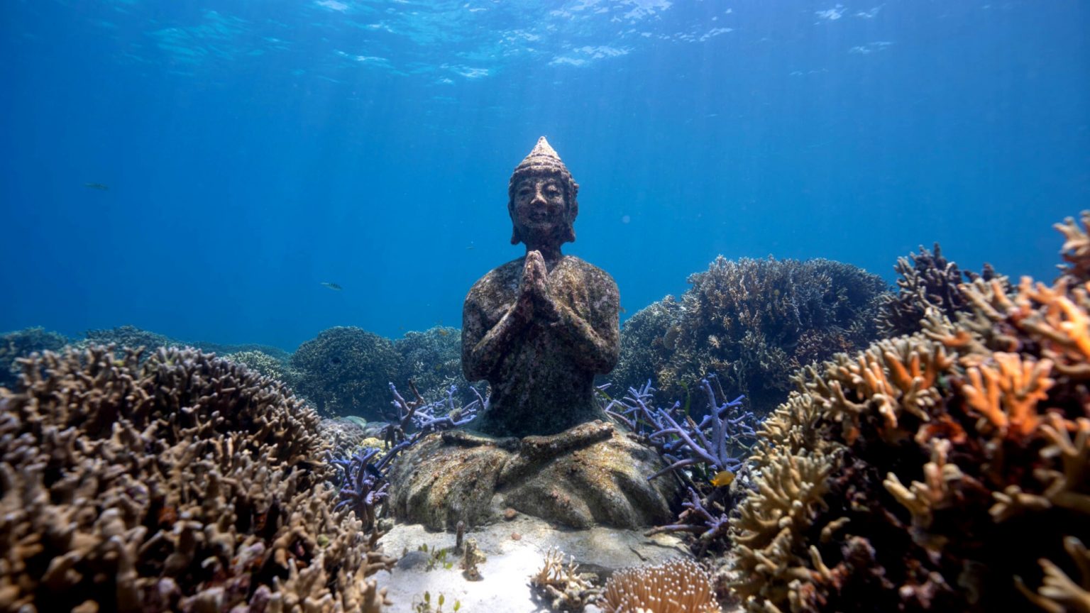 The 5 Guardians Of Alegria Cebu Citys Mysterious Underwater Statues