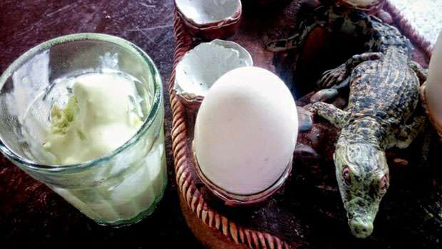 kem trứng cá sấu kem cực lạ ở Philippines