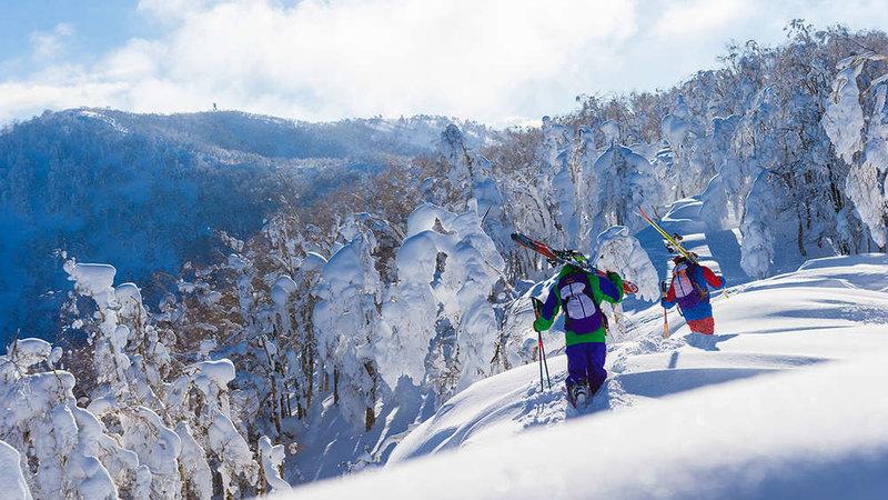 Trượt tuyết ở Nhật Bản
