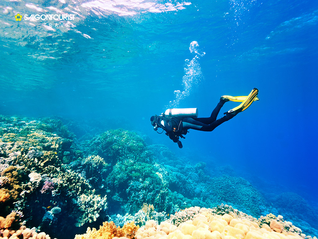  Chơi gì ở Koh Rong Lặn biển ngắm san hô