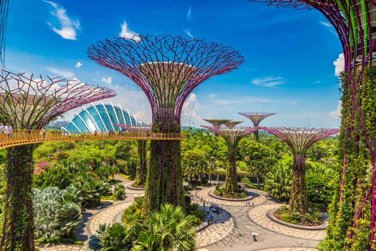 Gardens by the bay Super Tree Singapore