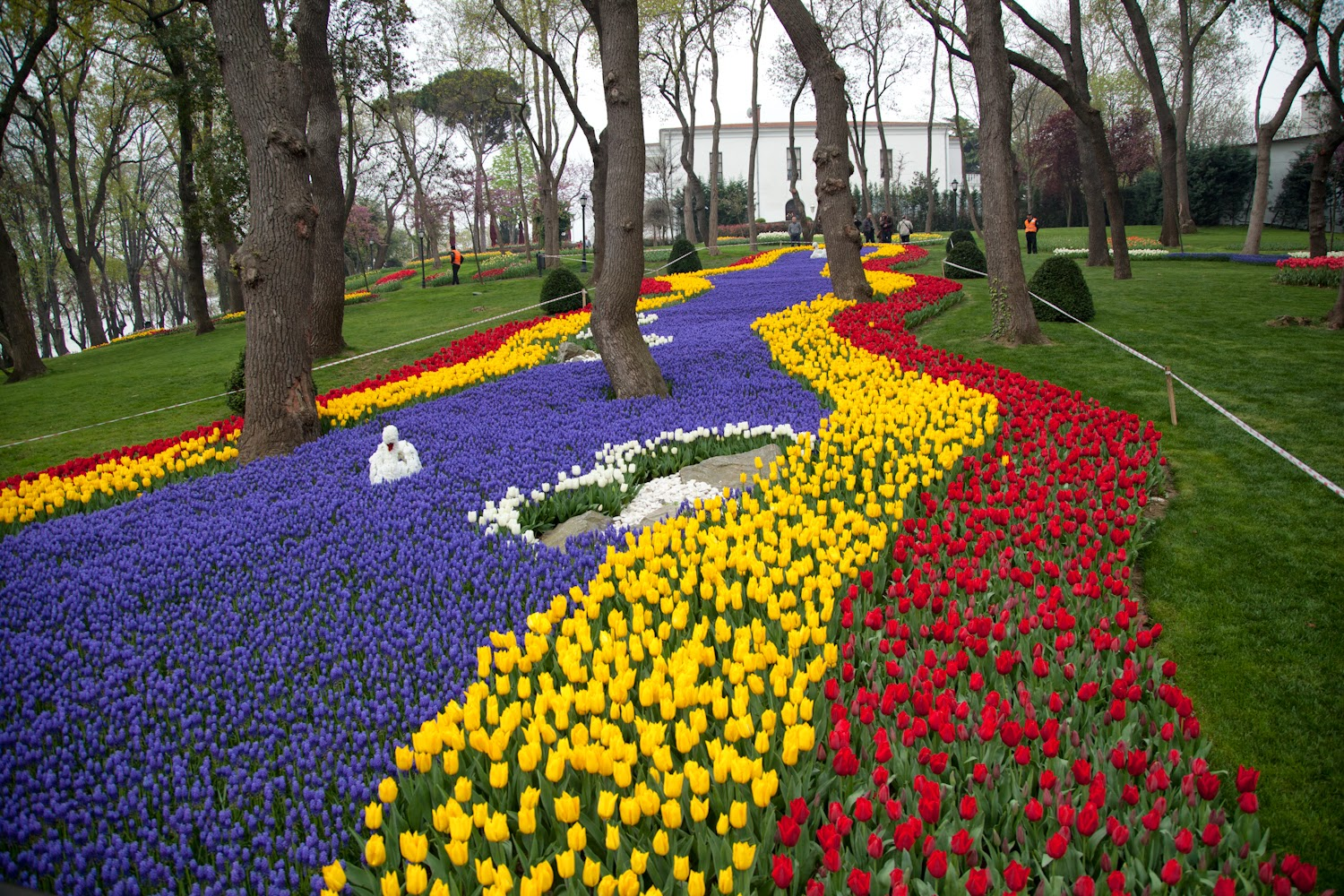 Rực rỡ lễ hội Hoa Tulip tại Istanbul