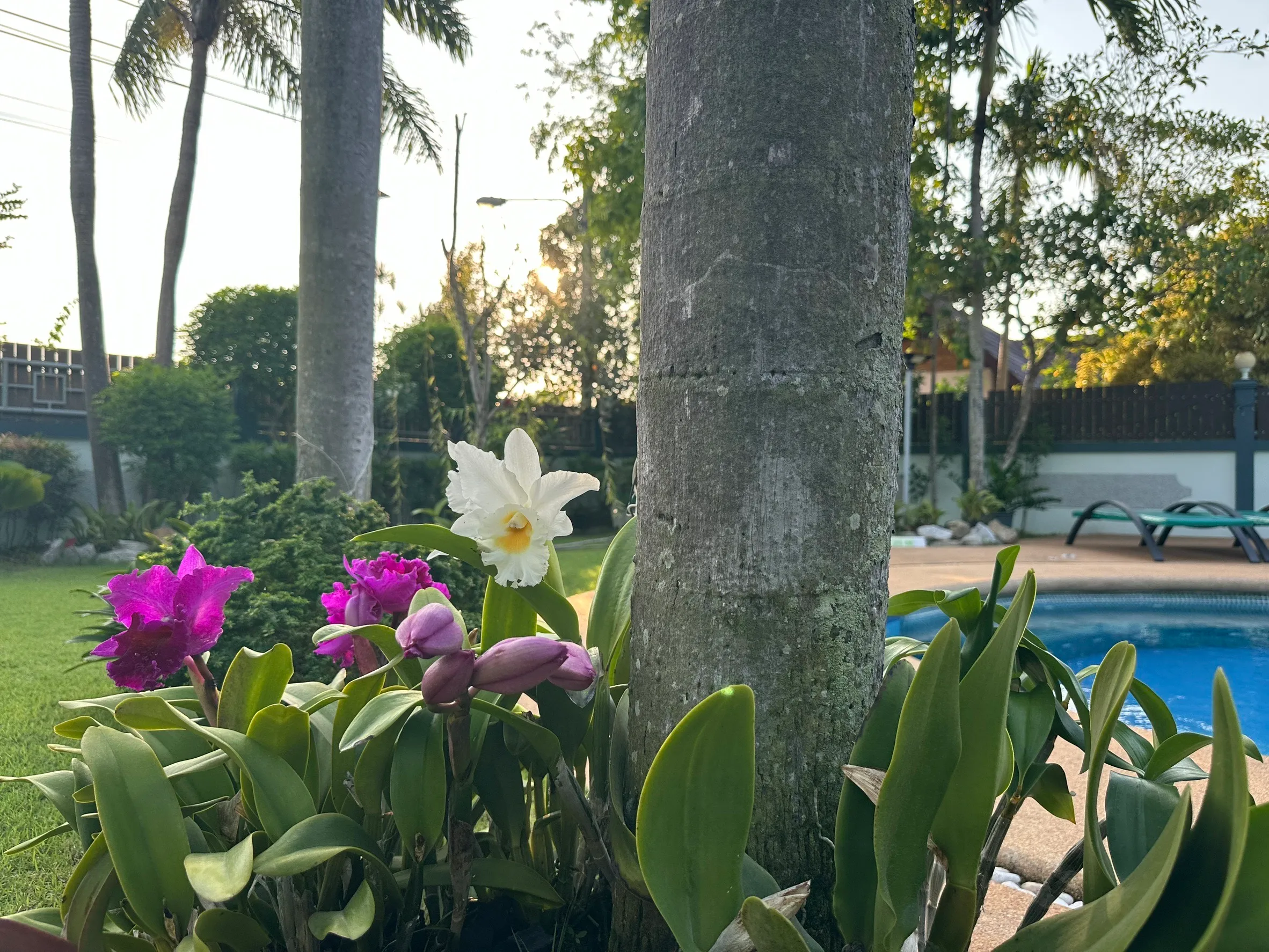 Let’s Chill Pool Villa Najomtien42